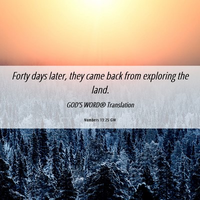 Picture 06 - Numbers 13:25 GW - Forty days later, they came back from exploring - Bible Verse Picture