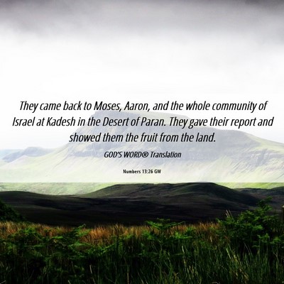 Picture 06 - Numbers 13:26 GW - They came back to Moses, Aaron, and the whole - Bible Verse Picture