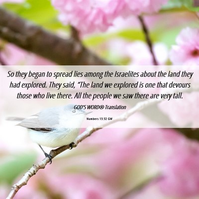 Picture 06 - Numbers 13:32 GW - So they began to spread lies among the Israelites - Bible Verse Picture