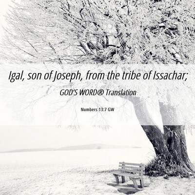 Picture 06 - Numbers 13:7 GW - Igal, son of Joseph, from the tribe of - Bible Verse Picture