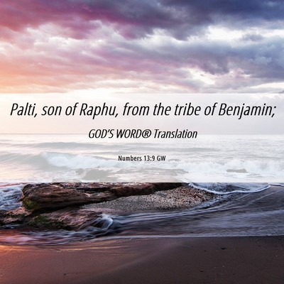 Picture 06 - Numbers 13:9 GW - Palti, son of Raphu, from the tribe of - Bible Verse Picture