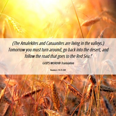 Picture 06 - Numbers 14:25 GW - (The Amalekites and Canaanites are living in the - Bible Verse Picture