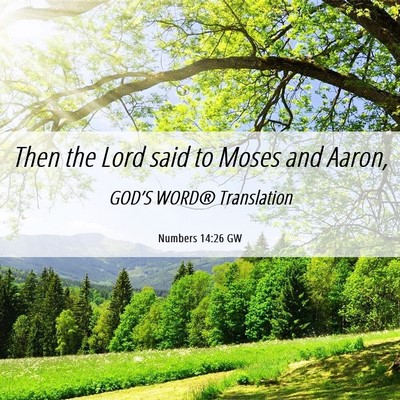 Picture 06 - Numbers 14:26 GW - Then the Lord said to Moses and - Bible Verse Picture