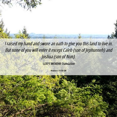 Picture 06 - Numbers 14:30 GW - I raised my hand and swore an oath to give you - Bible Verse Picture