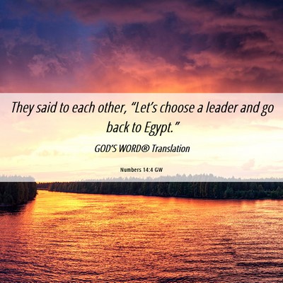 Picture 06 - Numbers 14:4 GW - They said to each other, “Let’s choose a - Bible Verse Picture