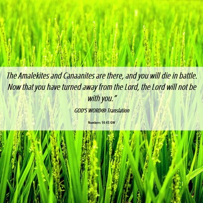 Picture 06 - Numbers 14:43 GW - The Amalekites and Canaanites are there, and you - Bible Verse Picture