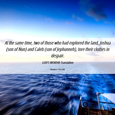 Picture 06 - Numbers 14:6 GW - At the same time, two of those who had explored - Bible Verse Picture