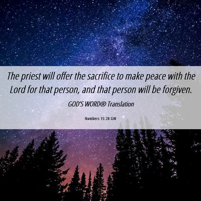 Picture 06 - Numbers 15:28 GW - The priest will offer the sacrifice to make peace - Bible Verse Picture