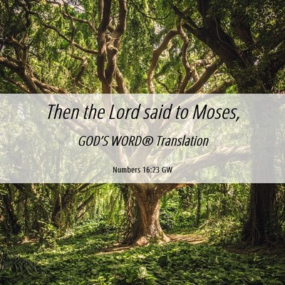 Picture 06 - Numbers 16:23 GW - Then the Lord said to - Bible Verse Picture
