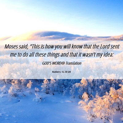 Picture 06 - Numbers 16:28 GW - Moses said, “This is how you will know that the - Bible Verse Picture