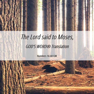Picture 06 - Numbers 16:44 GW - The Lord said to - Bible Verse Picture