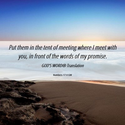 Picture 06 - Numbers 17:4 GW - Put them in the tent of meeting where I meet with - Bible Verse Picture