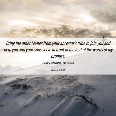 Picture 06 - Numbers 18:2 GW - Bring the other Levites from your ancestor’s - Bible Verse Picture