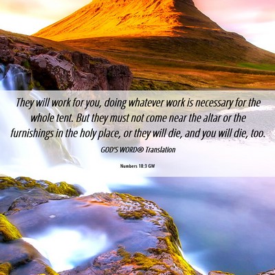 Picture 06 - Numbers 18:3 GW - They will work for you, doing whatever work is - Bible Verse Picture