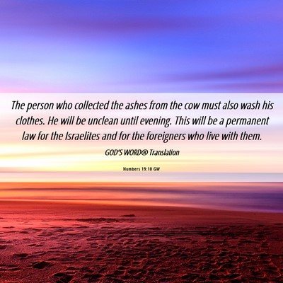 Picture 06 - Numbers 19:10 GW - The person who collected the ashes from the cow - Bible Verse Picture