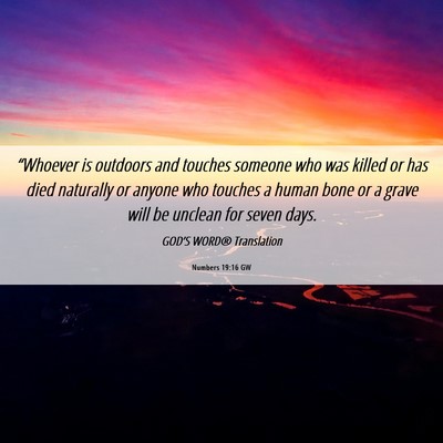 Picture 06 - Numbers 19:16 GW - “Whoever is outdoors and touches someone who - Bible Verse Picture