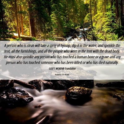 Picture 06 - Numbers 19:18 GW - A person who is clean will take a sprig of - Bible Verse Picture