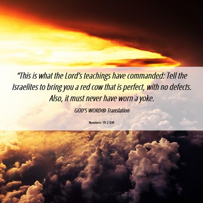 Picture 06 - Numbers 19:2 GW - “This is what the Lord’s teachings have - Bible Verse Picture