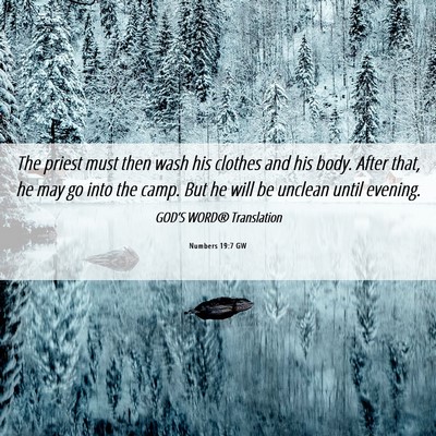 Picture 06 - Numbers 19:7 GW - The priest must then wash his clothes and his - Bible Verse Picture
