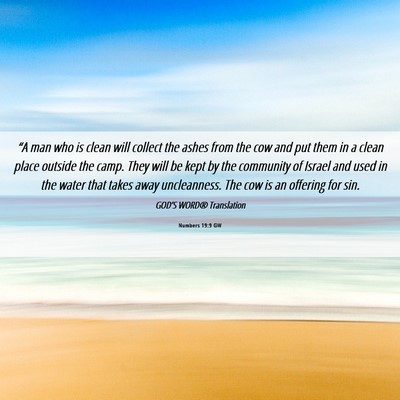 Picture 06 - Numbers 19:9 GW - “A man who is clean will collect the ashes from - Bible Verse Picture
