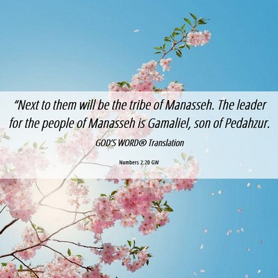 Picture 06 - Numbers 2:20 GW - “Next to them will be the tribe of Manasseh. - Bible Verse Picture