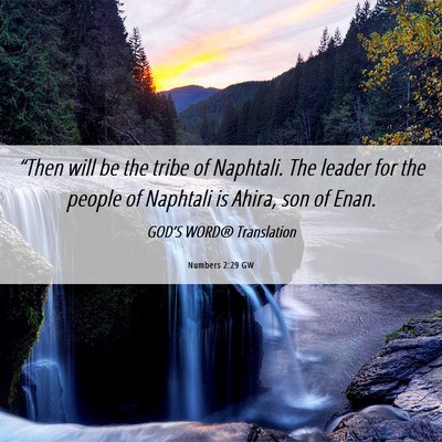 Picture 06 - Numbers 2:29 GW - “Then will be the tribe of Naphtali. The leader - Bible Verse Picture