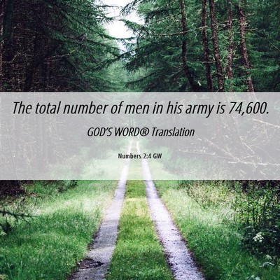 Picture 06 - Numbers 2:4 GW - The total number of men in his army is - Bible Verse Picture