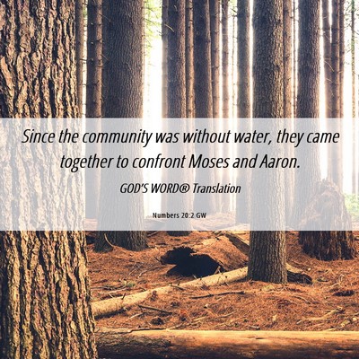 Picture 06 - Numbers 20:2 GW - Since the community was without water, they came - Bible Verse Picture