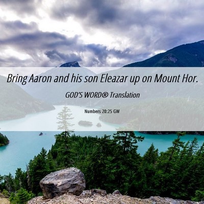 Picture 06 - Numbers 20:25 GW - Bring Aaron and his son Eleazar up on Mount - Bible Verse Picture