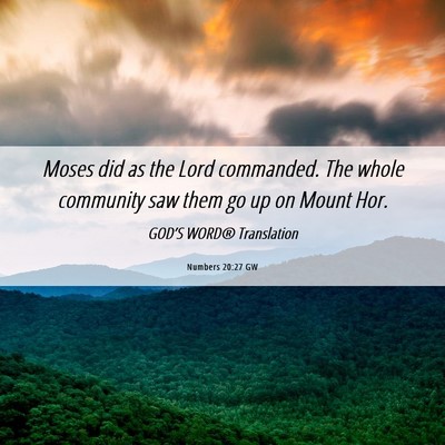 Picture 06 - Numbers 20:27 GW - Moses did as the Lord commanded. The whole - Bible Verse Picture