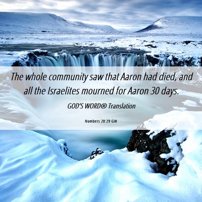 Picture 06 - Numbers 20:29 GW - The whole community saw that Aaron had died, and - Bible Verse Picture