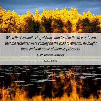 Picture 06 - Numbers 21:1 GW - When the Canaanite king of Arad, who lived in the - Bible Verse Picture