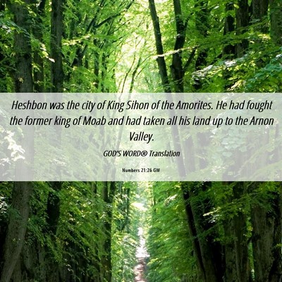 Picture 06 - Numbers 21:26 GW - Heshbon was the city of King Sihon of the - Bible Verse Picture