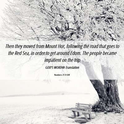 Picture 06 - Numbers 21:4 GW - Then they moved from Mount Hor, following the - Bible Verse Picture