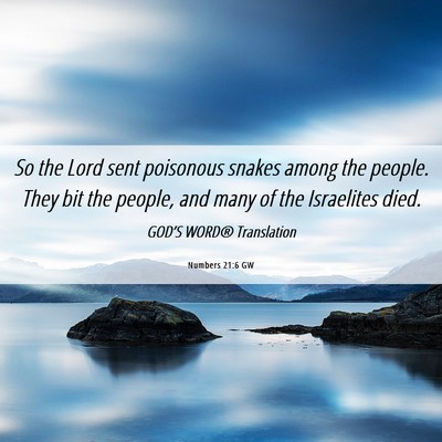 Picture 06 - Numbers 21:6 GW - So the Lord sent poisonous snakes among the - Bible Verse Picture
