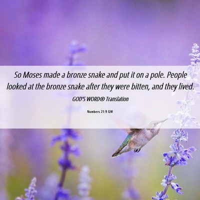 Picture 06 - Numbers 21:9 GW - So Moses made a bronze snake and put it on a - Bible Verse Picture