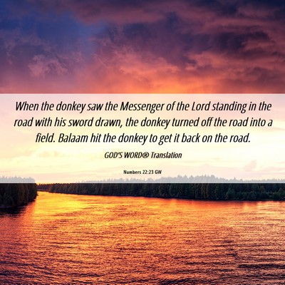 Picture 06 - Numbers 22:23 GW - When the donkey saw the Messenger of the Lord - Bible Verse Picture