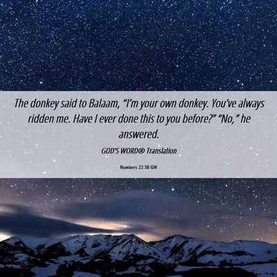Picture 06 - Numbers 22:30 GW - The donkey said to Balaam, “I’m your own - Bible Verse Picture