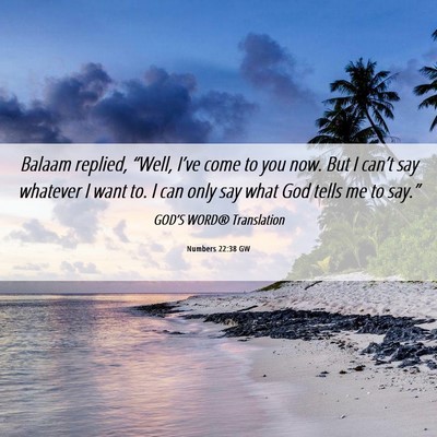 Picture 06 - Numbers 22:38 GW - Balaam replied, “Well, I’ve come to you now. - Bible Verse Picture