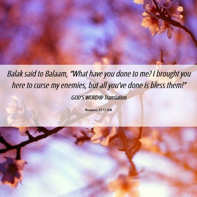 Picture 06 - Numbers 23:11 GW - Balak said to Balaam, “What have you done to - Bible Verse Picture
