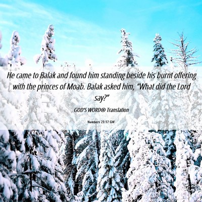 Picture 06 - Numbers 23:17 GW - He came to Balak and found him standing beside - Bible Verse Picture