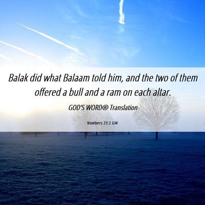 Picture 06 - Numbers 23:2 GW - Balak did what Balaam told him, and the two of - Bible Verse Picture