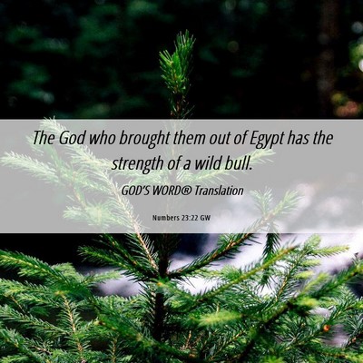 Picture 06 - Numbers 23:22 GW - The God who brought them out of Egypt has the - Bible Verse Picture
