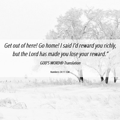 Picture 06 - Numbers 24:11 GW - Get out of here! Go home! I said I’d reward you - Bible Verse Picture
