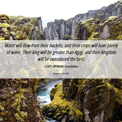 Picture 06 - Numbers 24:7 GW - Water will flow from their buckets, and their - Bible Verse Picture