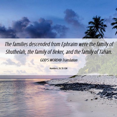 Picture 06 - Numbers 26:35 GW - The families descended from Ephraim were the - Bible Verse Picture