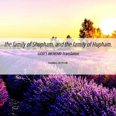 Picture 06 - Numbers 26:39 GW - the family of Shupham, and the family of - Bible Verse Picture