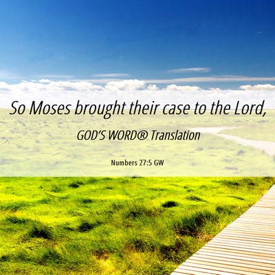Picture 06 - Numbers 27:5 GW - So Moses brought their case to the - Bible Verse Picture