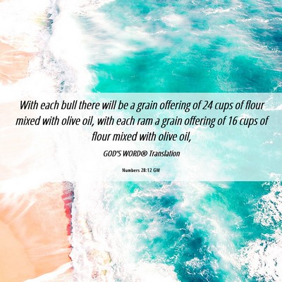 Picture 06 - Numbers 28:12 GW - With each bull there will be a grain offering of - Bible Verse Picture