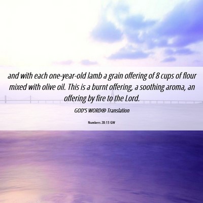 Picture 06 - Numbers 28:13 GW - and with each one-year-old lamb a grain offering - Bible Verse Picture